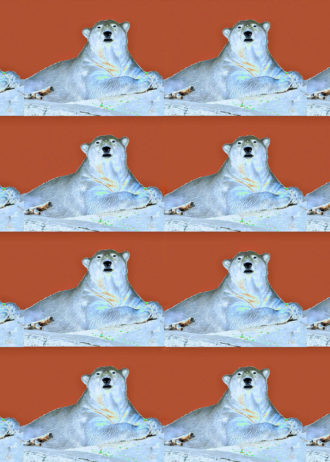 The Last Polar Bear